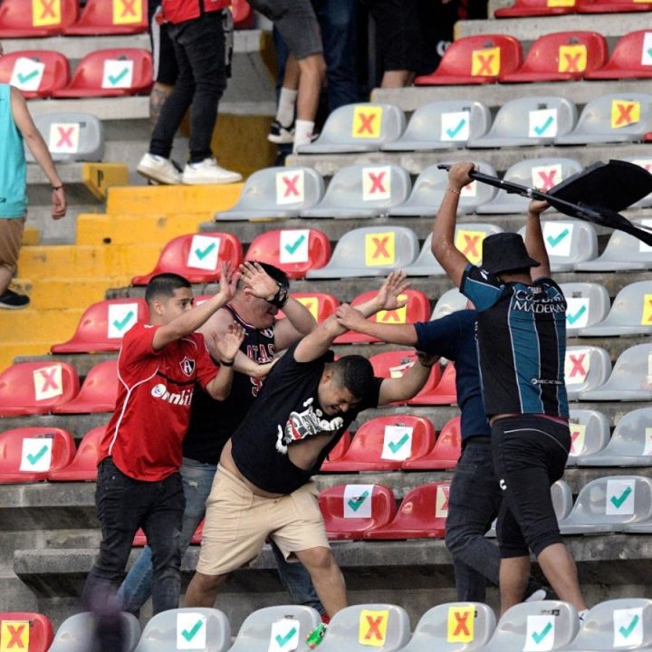 🇻🇪 Campeón Mundial Federico Niche tweet media