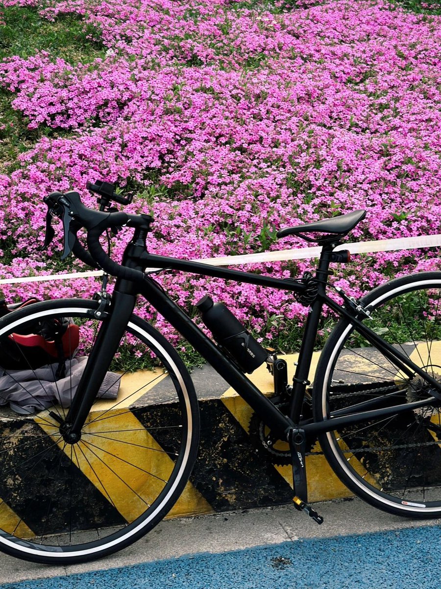 celden margarico tweet media