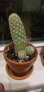 Kyt Wright 💙💛 writer, dreamer, buffoon. tweet media