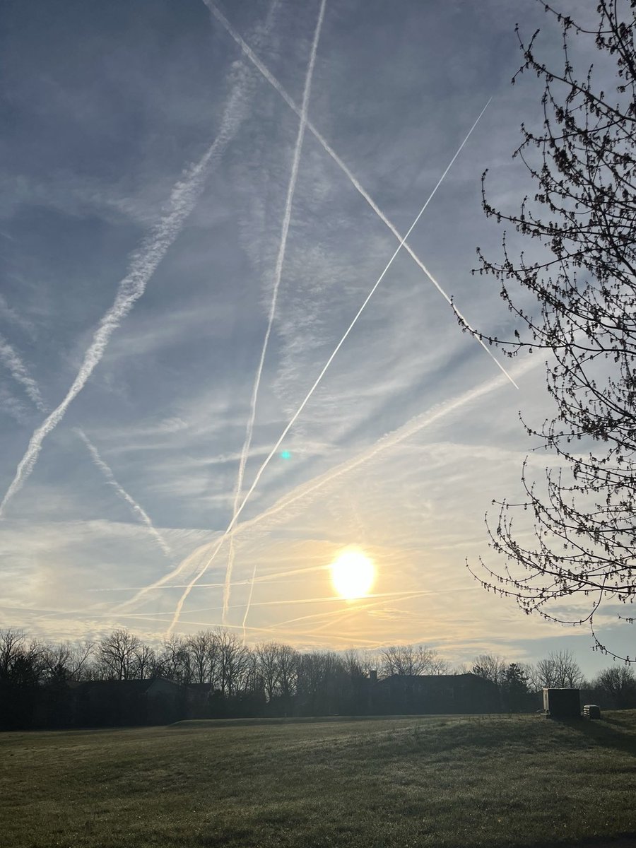 Anti Lockdown Alliance(GLOBAL) tweet media