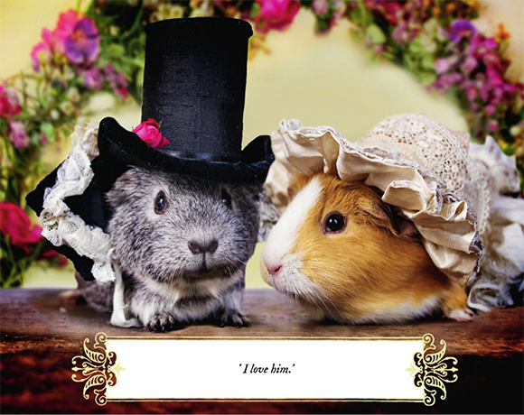 Hello Pity tweet media