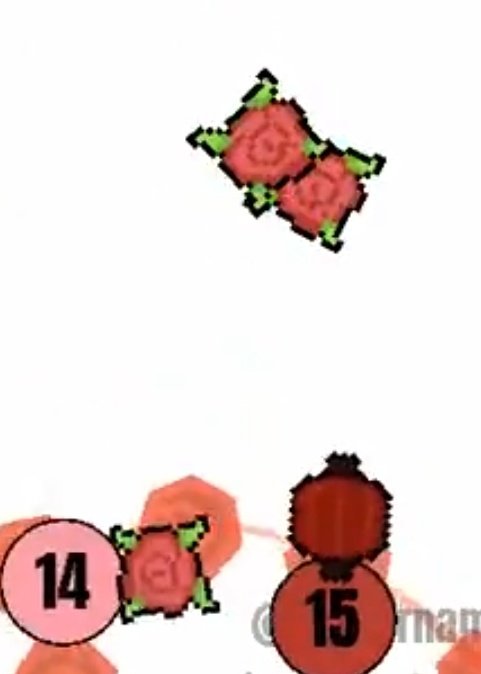 Danish Pro tweet media