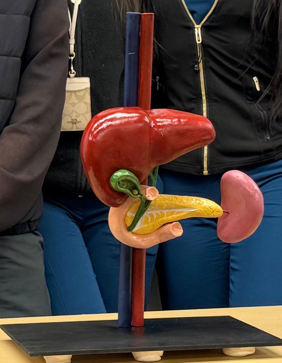 Dr Luis Felipe Cabrera Vargas MD FACS tweet media