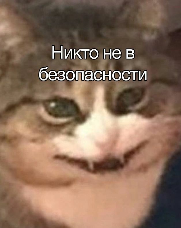 Irish__coffee_'s tweet photo. Я, когда вышла обнова:
#клуَбромантиٍки https://t.co/rHUi6h8QiN