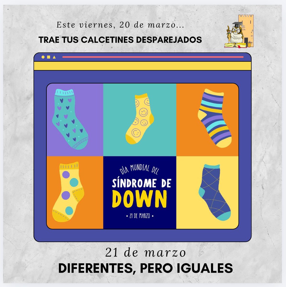 CEIP M.DOLORES VELASCO tweet media