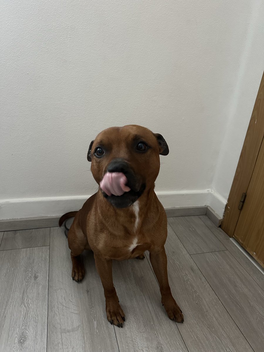 Butterfly 🦋 tweet media