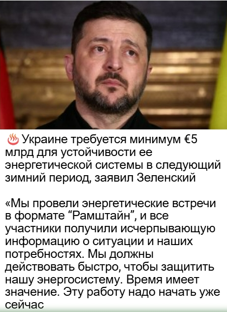 Совушка tweet media