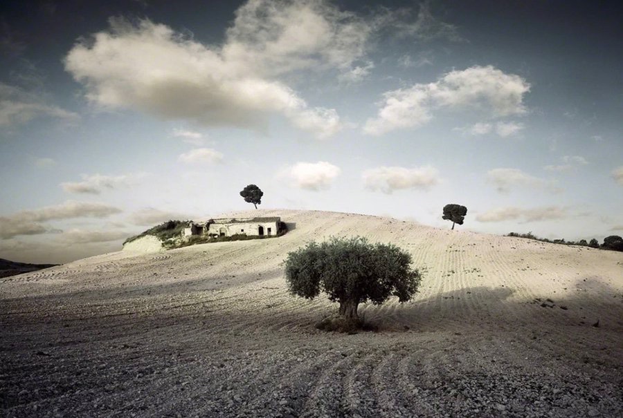 𝑷𝒂𝒕𝒓𝒊𝒄𝒌 tweet media