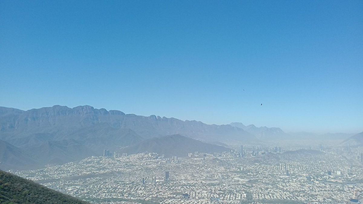 JP HERRERA tweet media