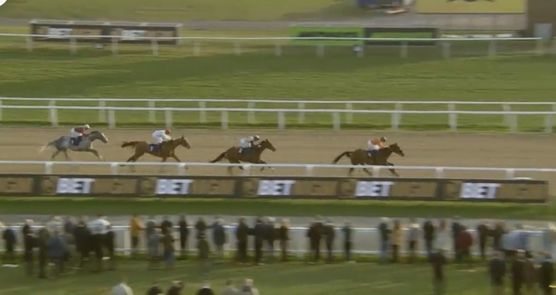 the racing newsletter tweet media