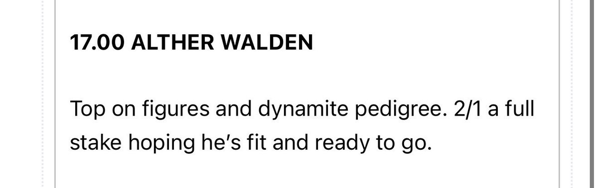 the racing newsletter tweet media