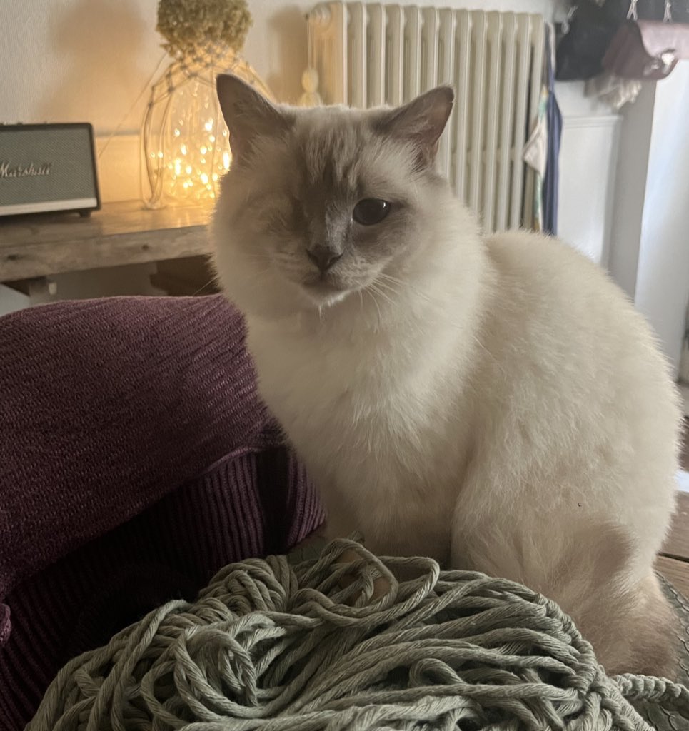 ixtab⋆ﾟ tweet media