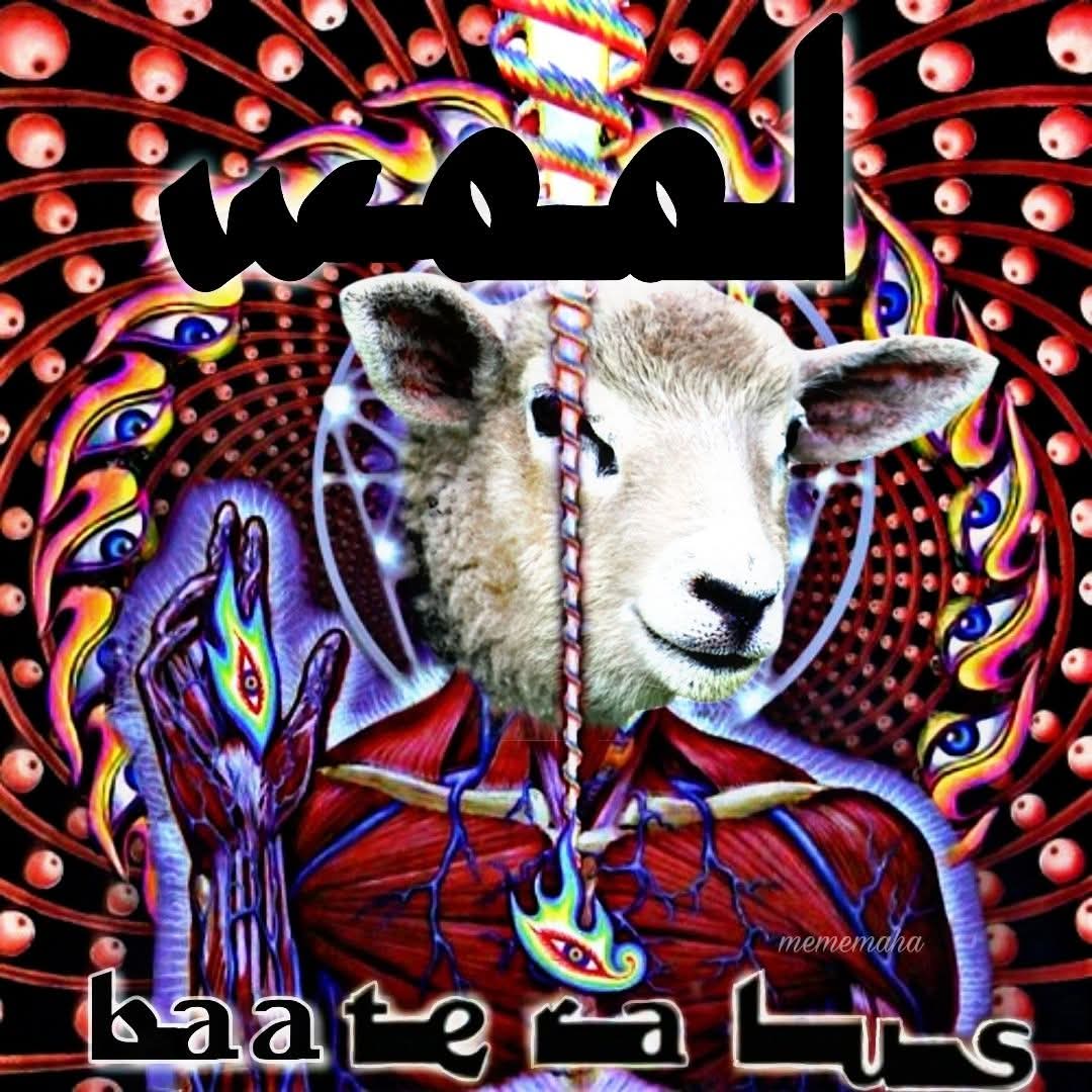 The Mollusk tweet media