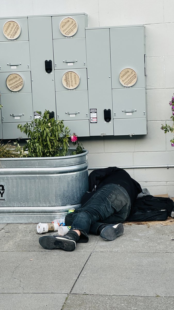 SaveSF 🇺🇸 tweet media