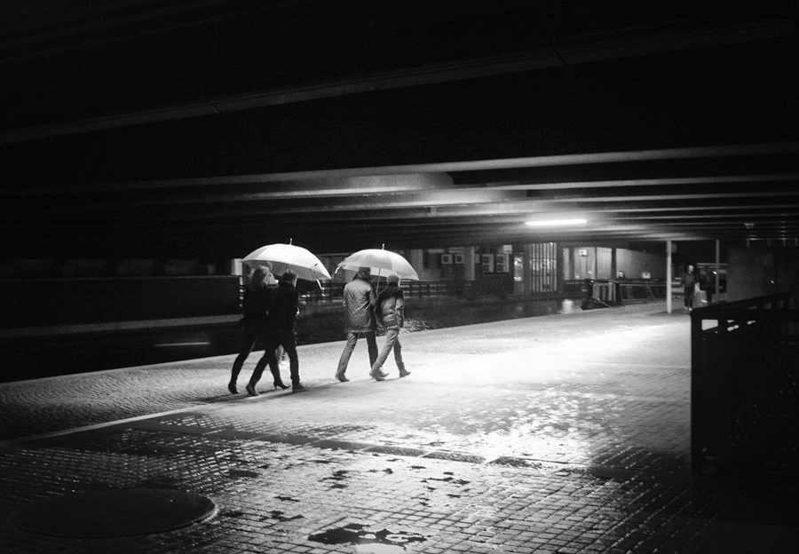 Linda Wisdom Photography 💙 tweet media