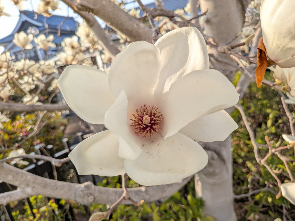 F.MATSUOKA tweet media