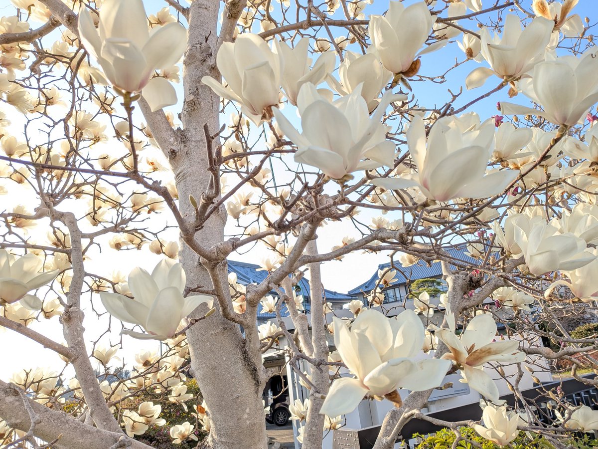 F.MATSUOKA tweet media