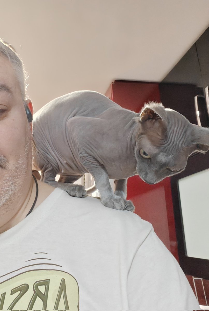 German Cantabrana 🔻🤍🍏🧀 tweet media