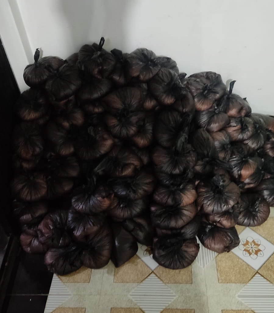 ياسمين tweet media