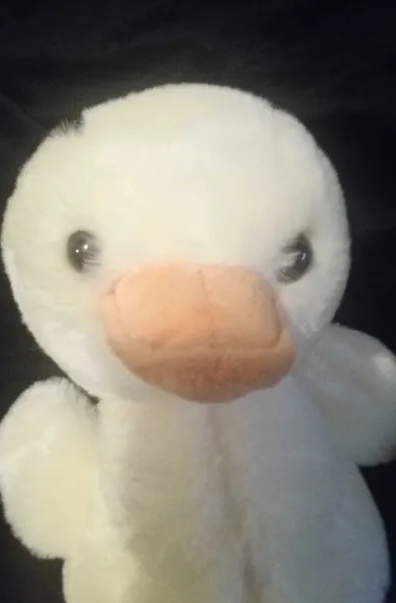 💫°ʚ｡fae｡ɞ°🩷 tweet media