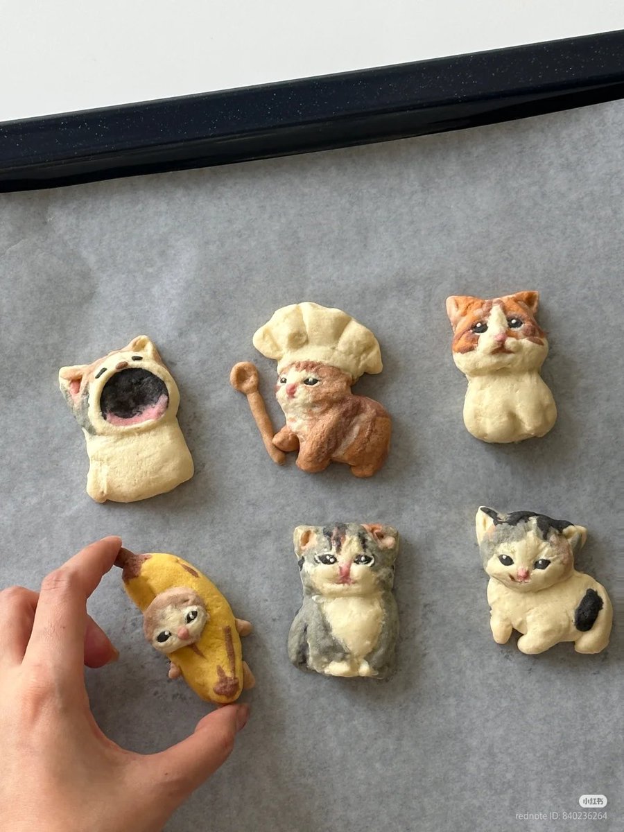 The Cats 𝕏 tweet media