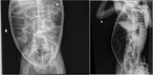 JPGN Reports tweet media