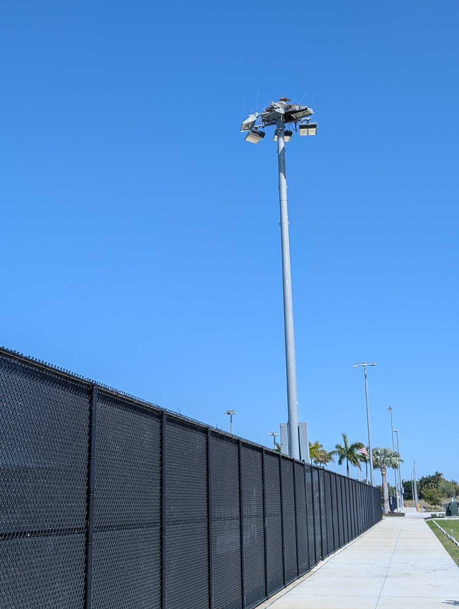 Tony Hom tweet media