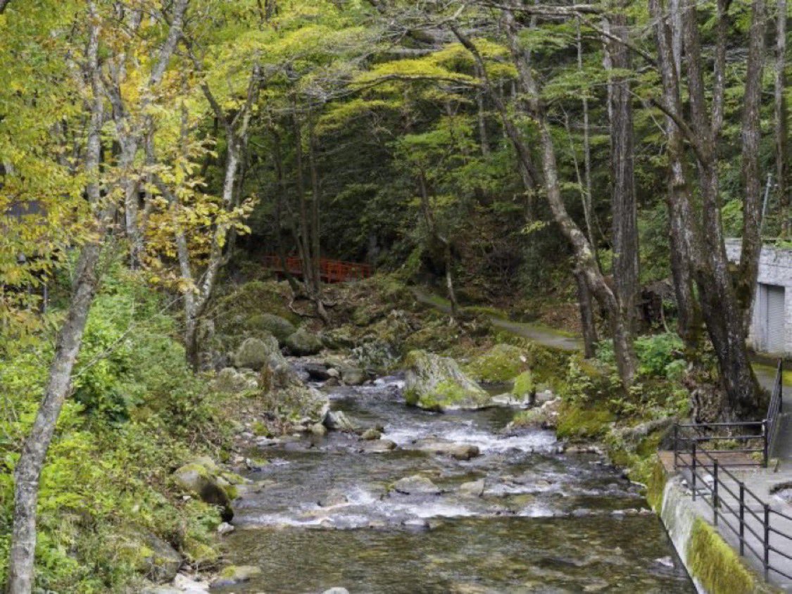 NAGANO Times🌟長野県のご当地名物に光あれ tweet media