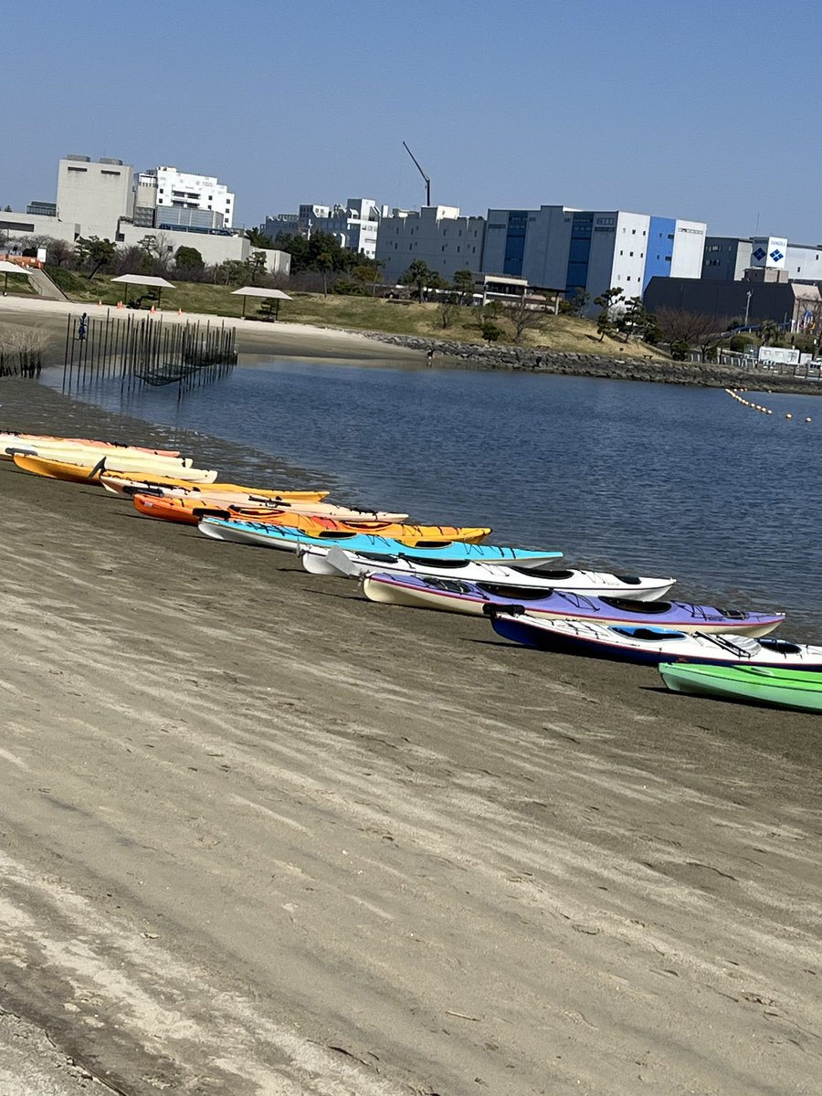 菊池純子 tweet media