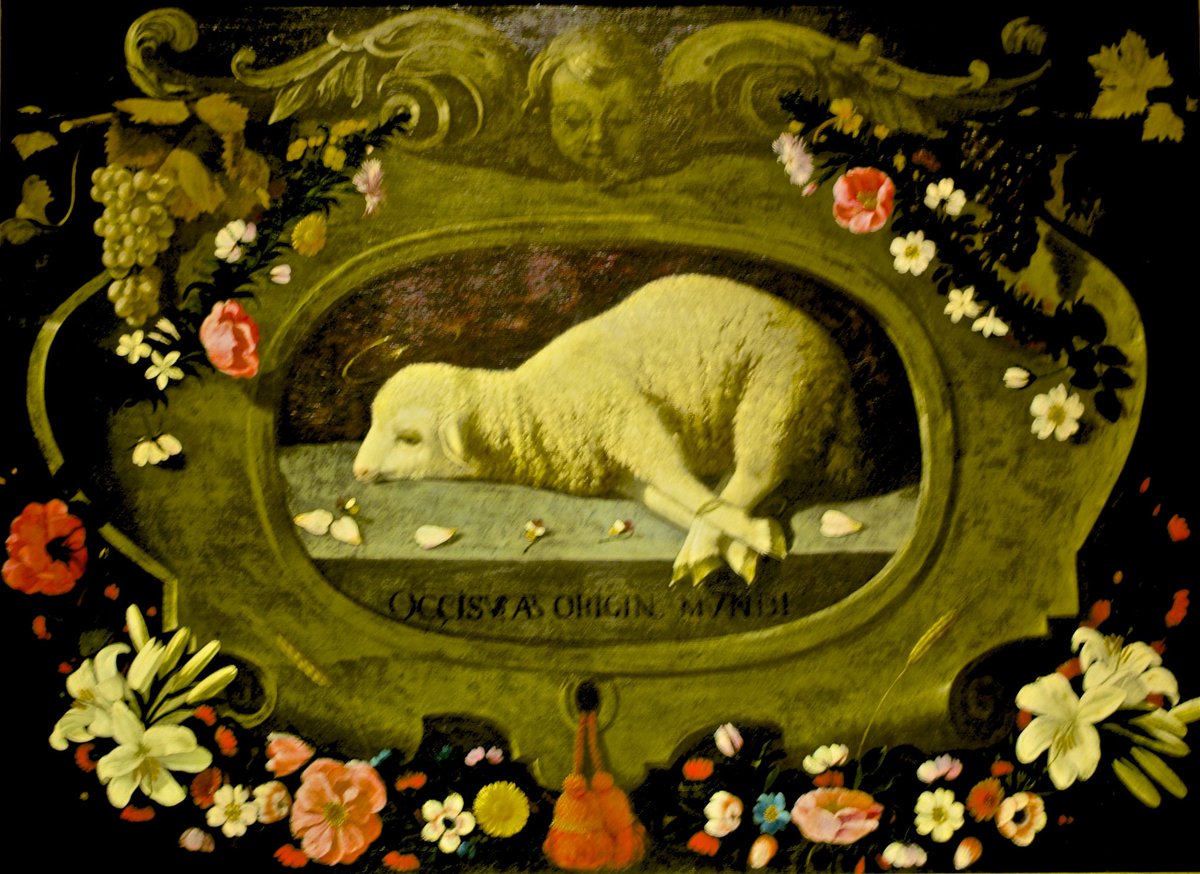 CAIN! 🐑 🔞 tweet media