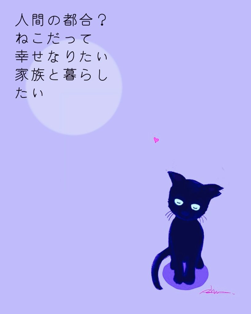 𝒮𝒶𝓃𝒸𝒽𝒶𝓃🌙✨ tweet media