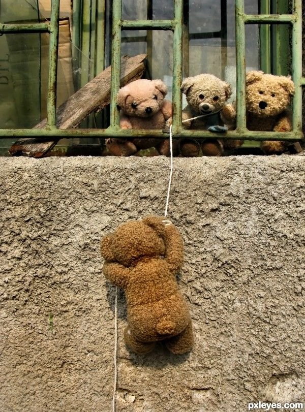 Glad tidings from a heart tweet media