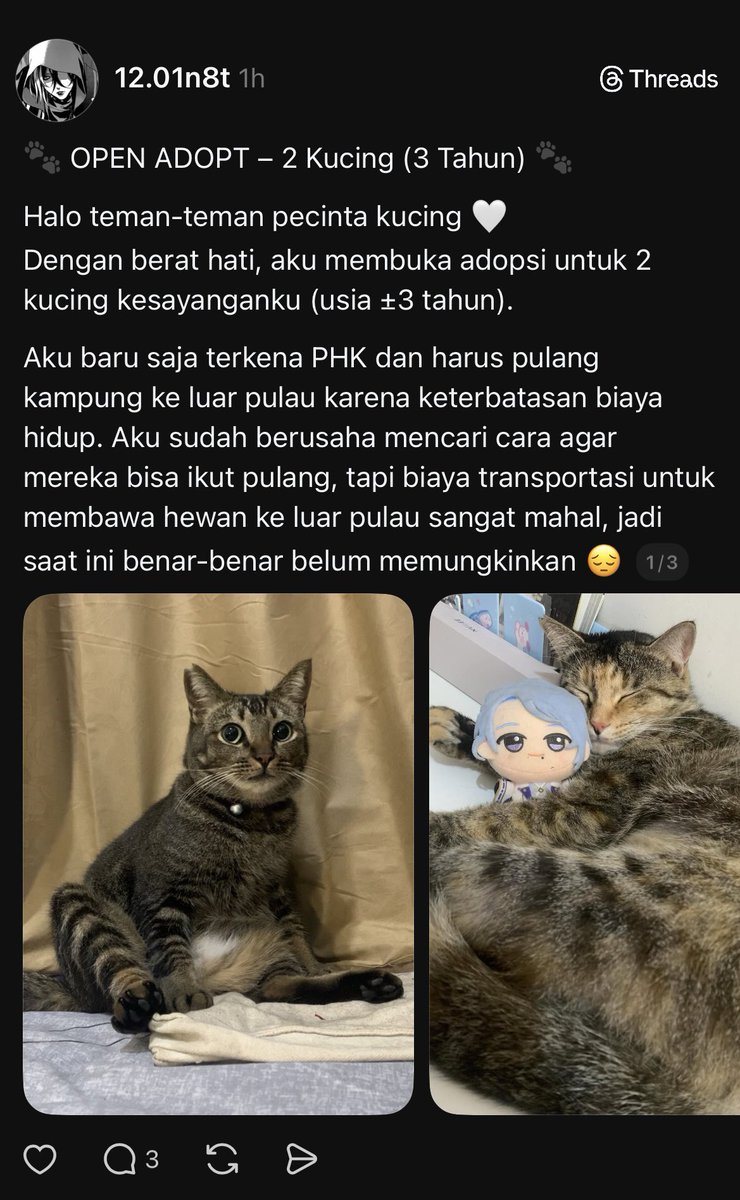 Razzmatazz tweet media