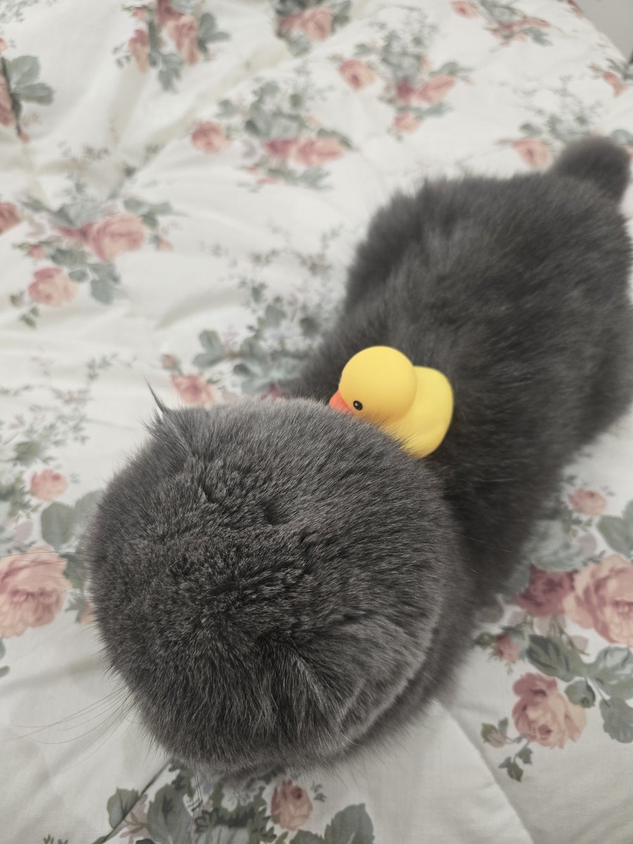 karkatlover689 tweet media