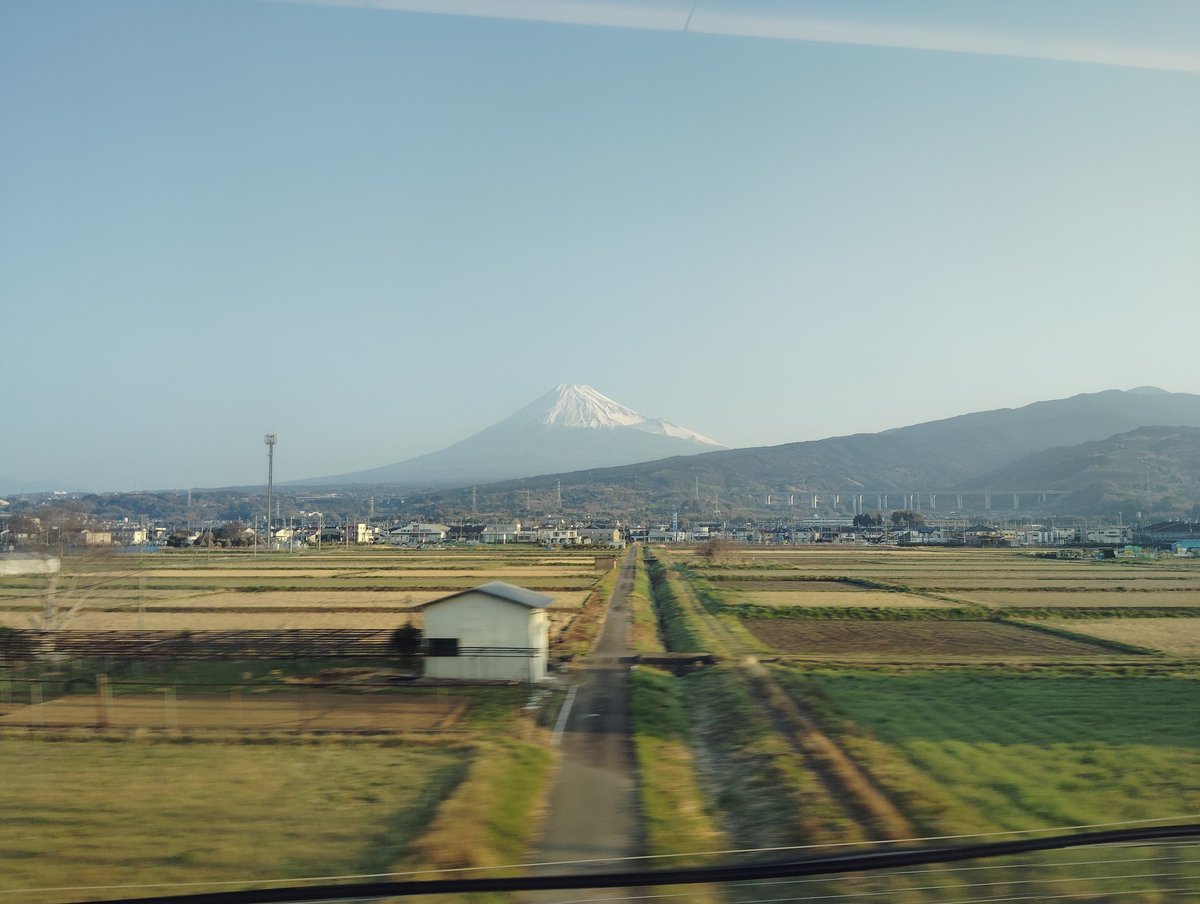 ギチめが🤓5月すパーㇰ tweet media