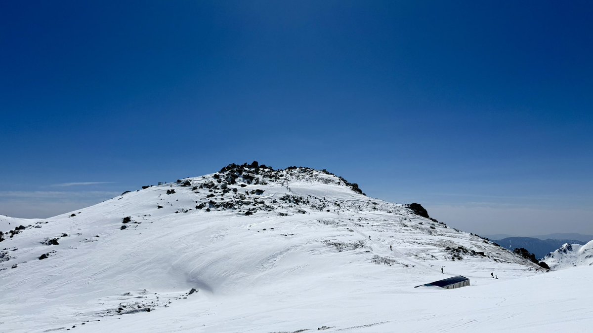 加藤 文鳥@妖怪みかん tweet media