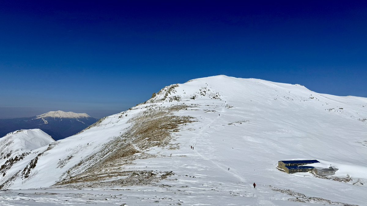 加藤 文鳥@妖怪みかん tweet media