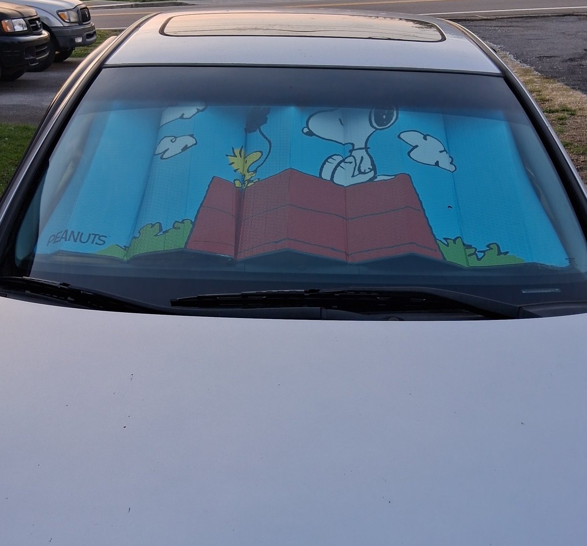 Faith 🦆📚 tweet media