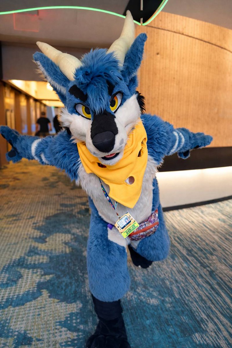 dirdwolf @ lvfc tweet media