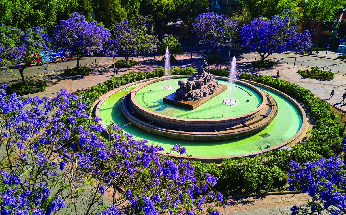 Clara Brugada Molina tweet media