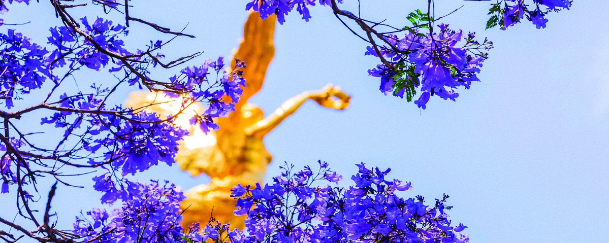 Clara Brugada Molina tweet media