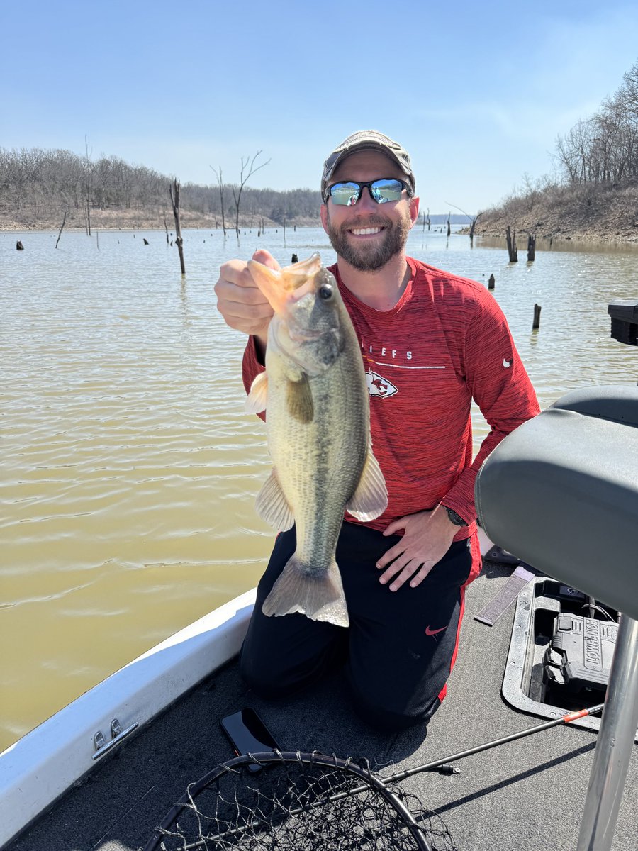 David Williams tweet media