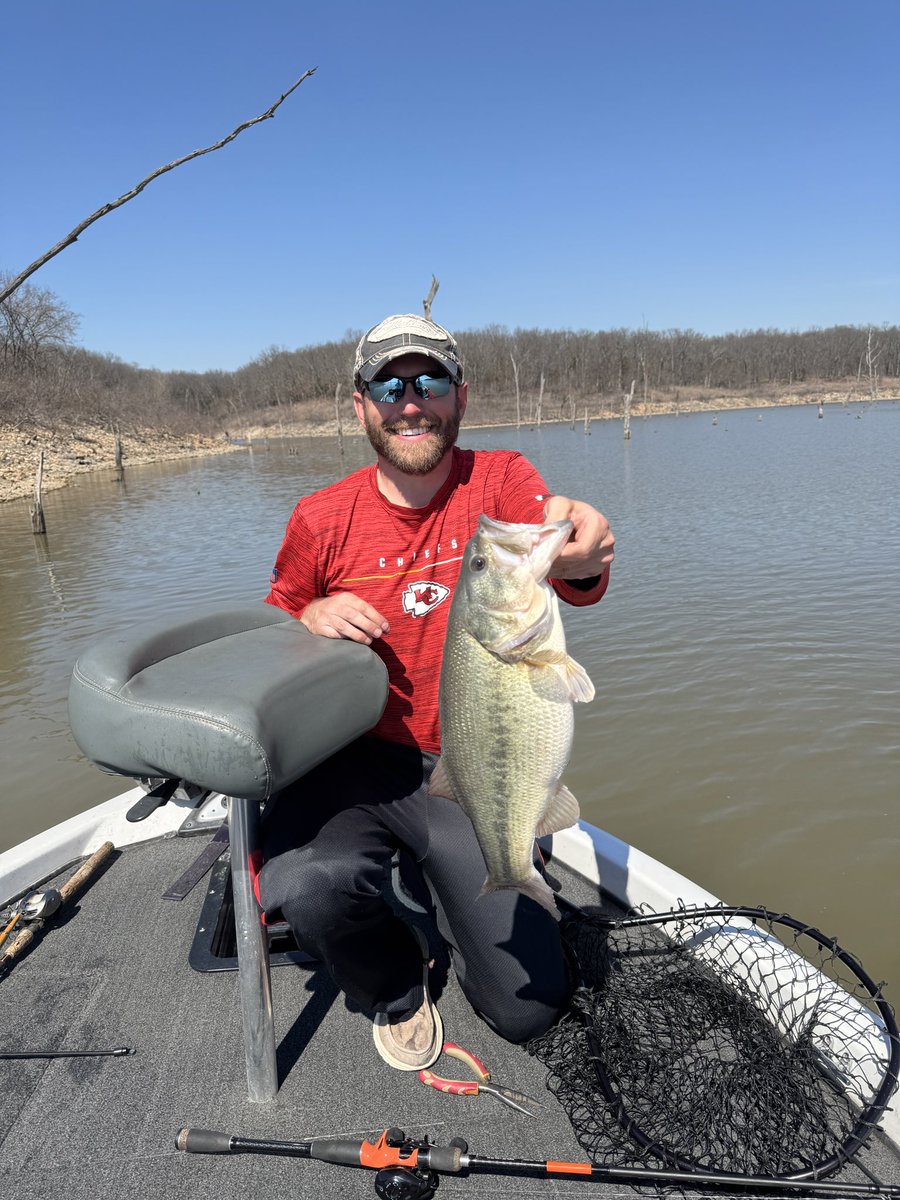 David Williams tweet media