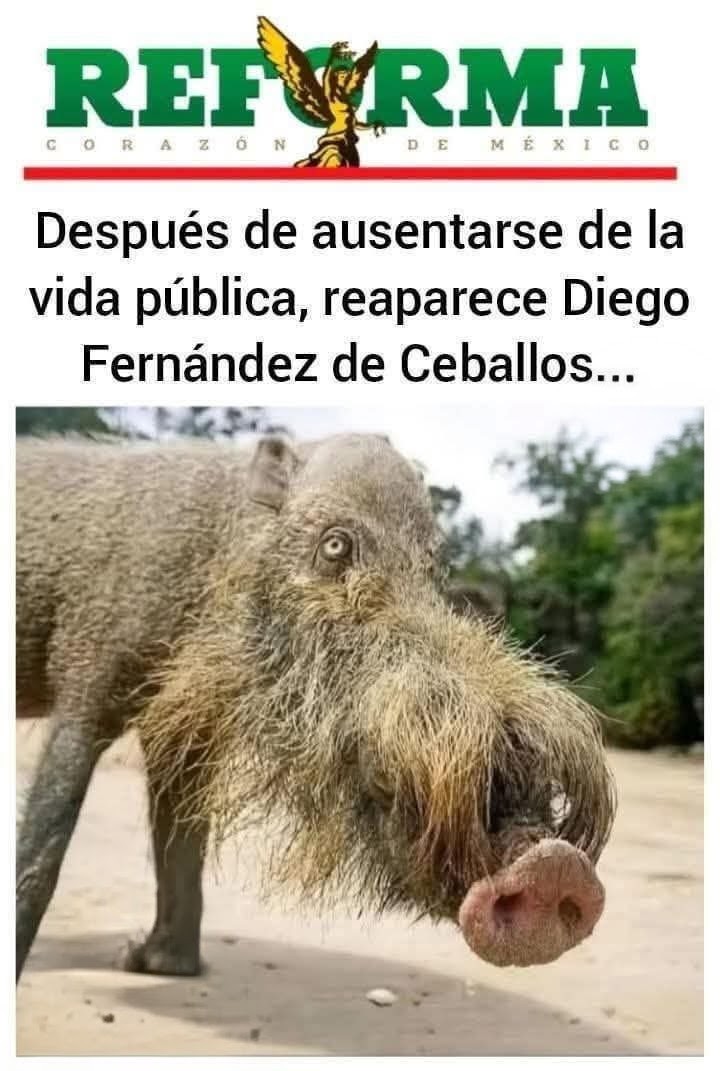 ¡A que cosas! 😆😂🤣