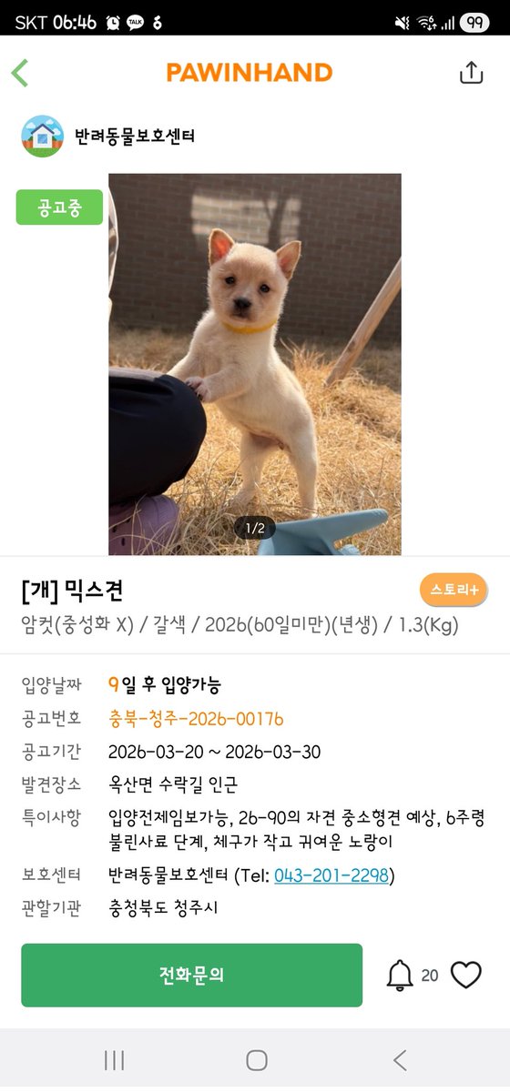 하나와애옹 tweet media