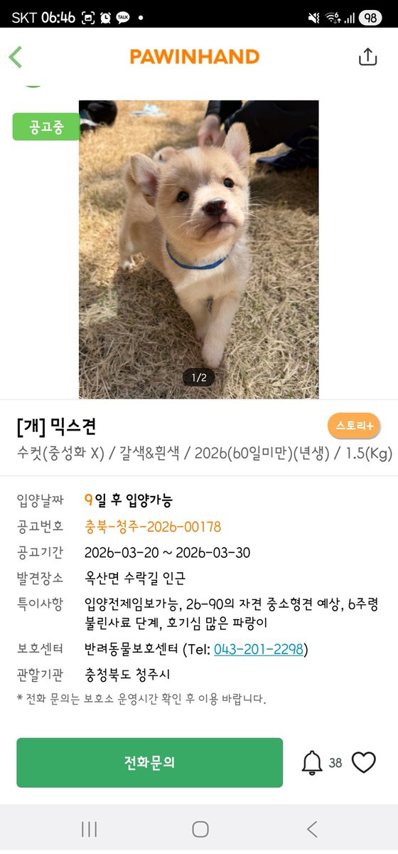 하나와애옹 tweet media