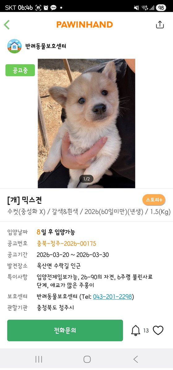 하나와애옹 tweet media