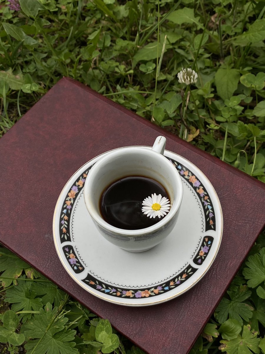 busilera tweet media