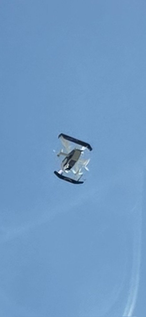 Whirled Peas! tweet media