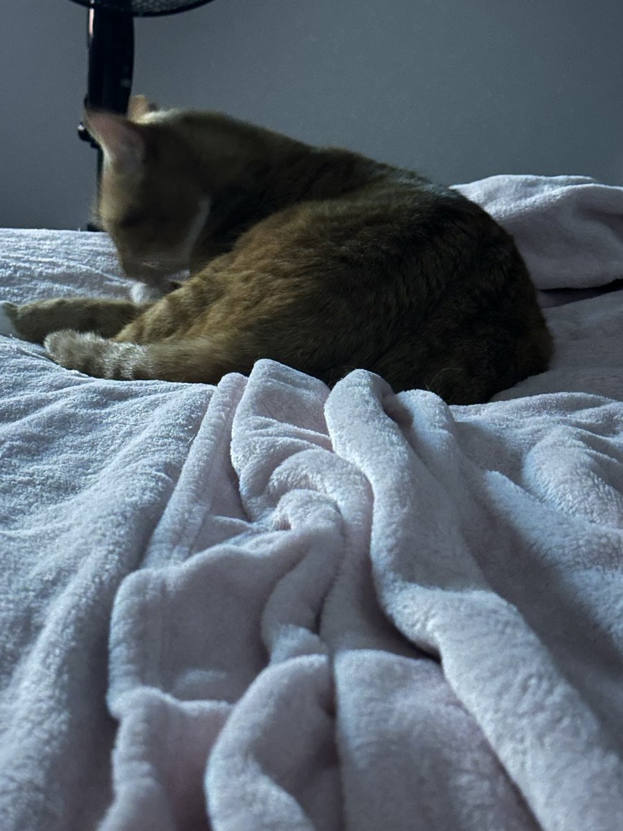 reggies mum tweet media